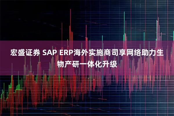 宏盛证券 SAP ERP海外实施商司享网络助力生物产研一体化升级