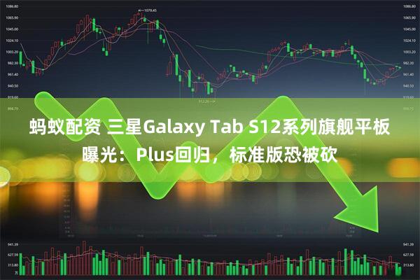 蚂蚁配资 三星Galaxy Tab S12系列旗舰平板曝光：Plus回归，标准版恐被砍